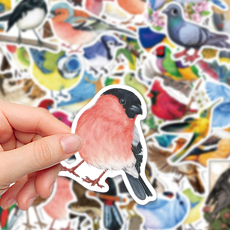 50 adet suluboya kuş Graffiti  - Phone Cases Kids incelemesi ve fiyatı