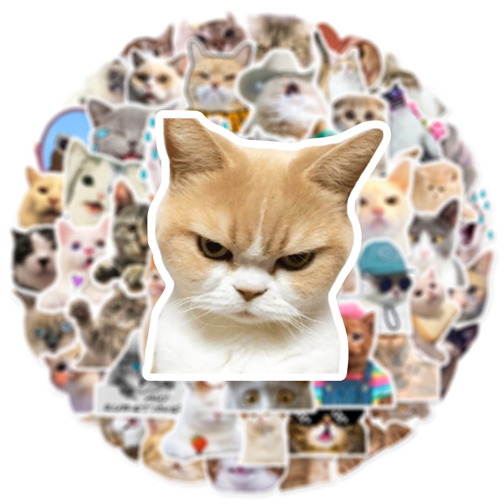 10/30/50 adet Sevimli Kedi Mem - Phone Cases Wholesale incelemesi ve fiyatı