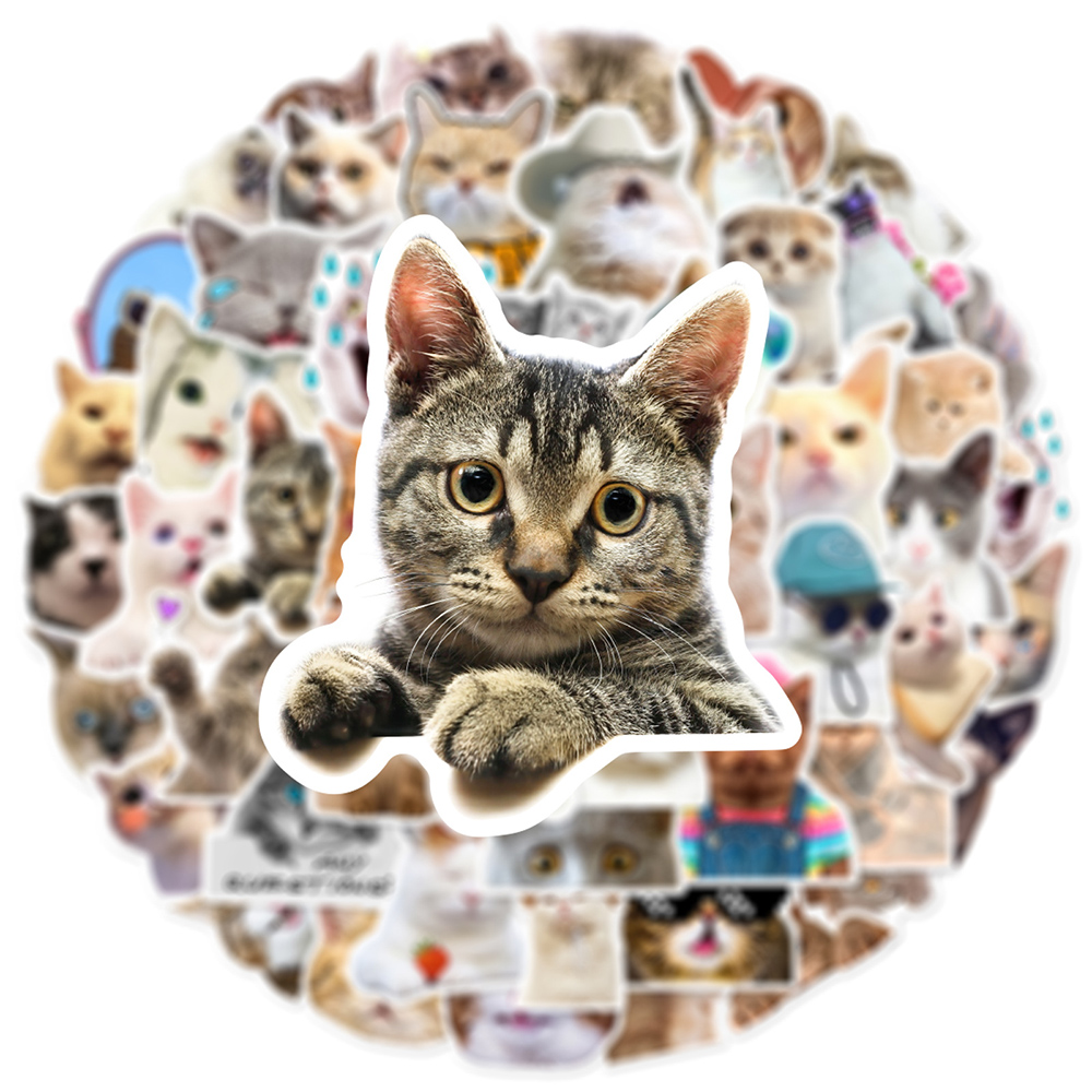 10/30/50 adet Sevimli Kedi Mem - Phone Cases Wholesale incelemesi ve fiyatı