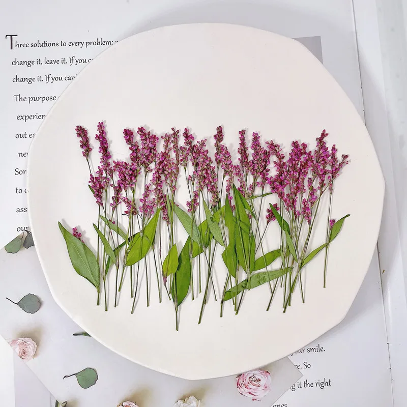 120 adet, 5-8cm, Toptan Doğal  - Phone Cases Wholesale incelemesi ve fiyatı